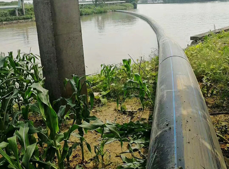 Dự án tưới tiêu nông nghiệp năm 2022 ở Thượng Hải